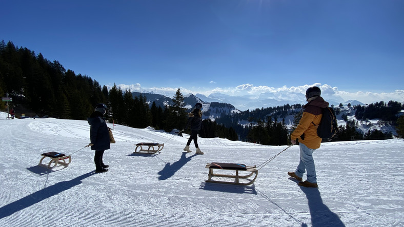 Sanki na Rigi