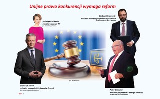 Tylko w DGP: Europa musi zareagować na zaburzenia konkurencji [APEL DO UNIJNEJ KOMISARZ]