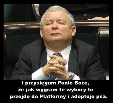 mem / Nie lubię PiSu