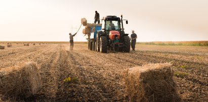 500 plus szkodzi rolnikom? Zaskakujące dane