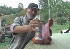 1633856044velika-plana-jede-bajatu-hranu-fotorina2