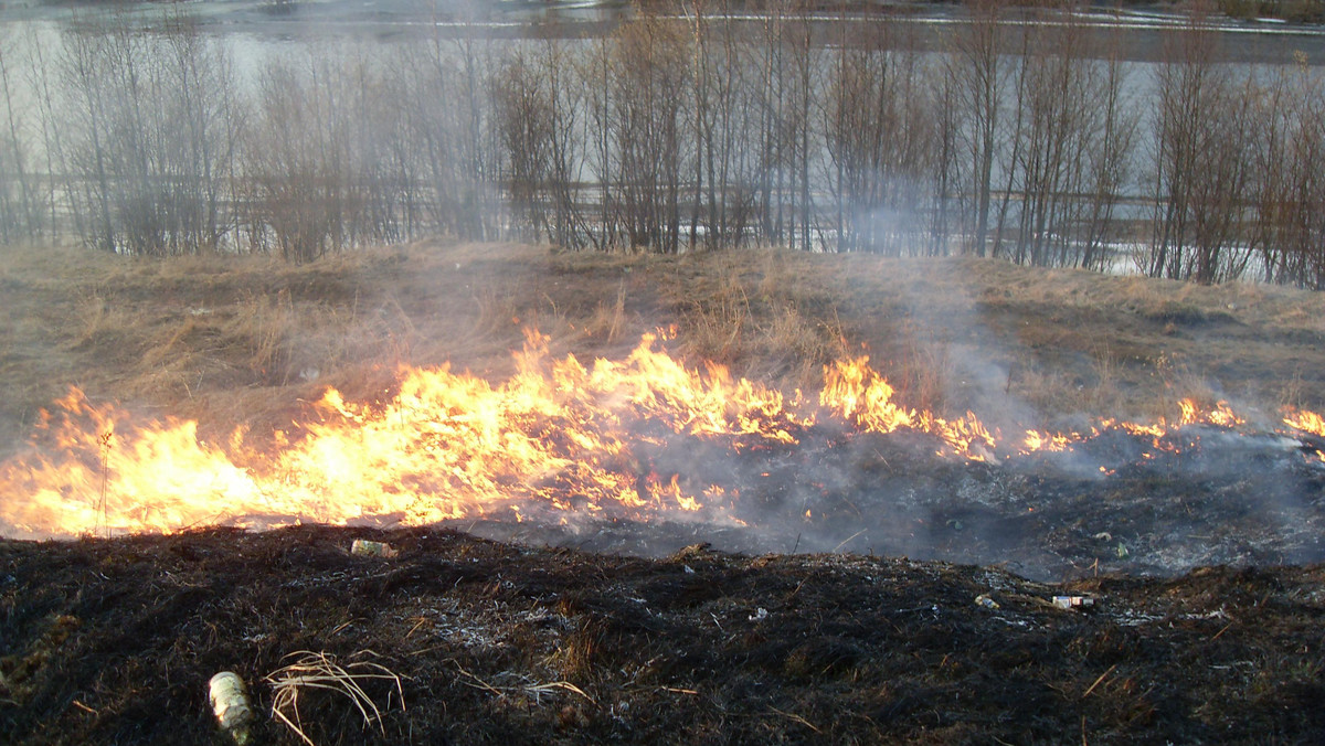 Warmińsko-mazurskie. Plaga wypalania traw na łąkach. Wiele pożarów
