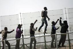 Melilla hiszpania Afryka nielegalni imigranci