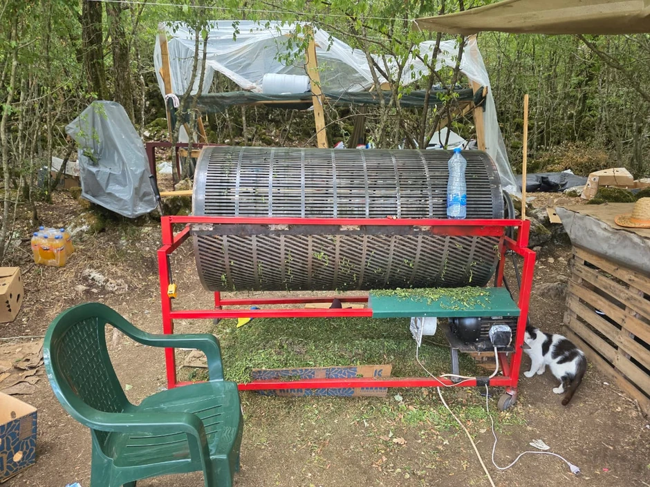 Plantaža marihuane u Crnoj Gori