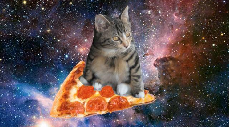 Cica az űrben, egy pizzán ücsörögve / Fotó: Facebook