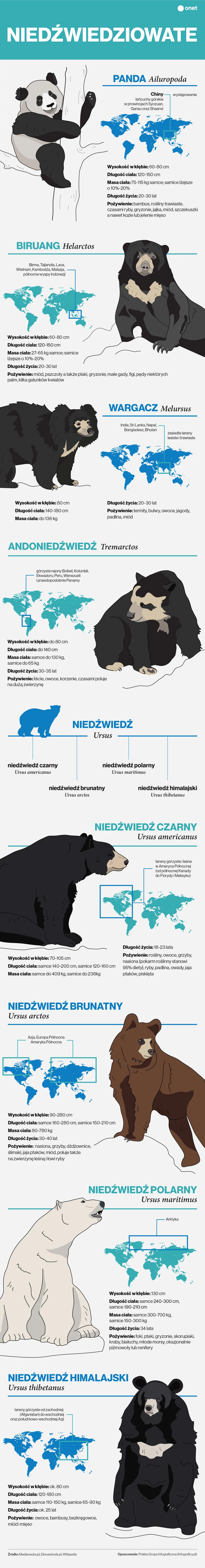 Niedźwiedziowate