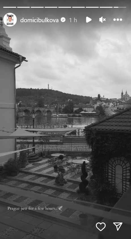 Cibulková prišla na pohreb Patejdla.