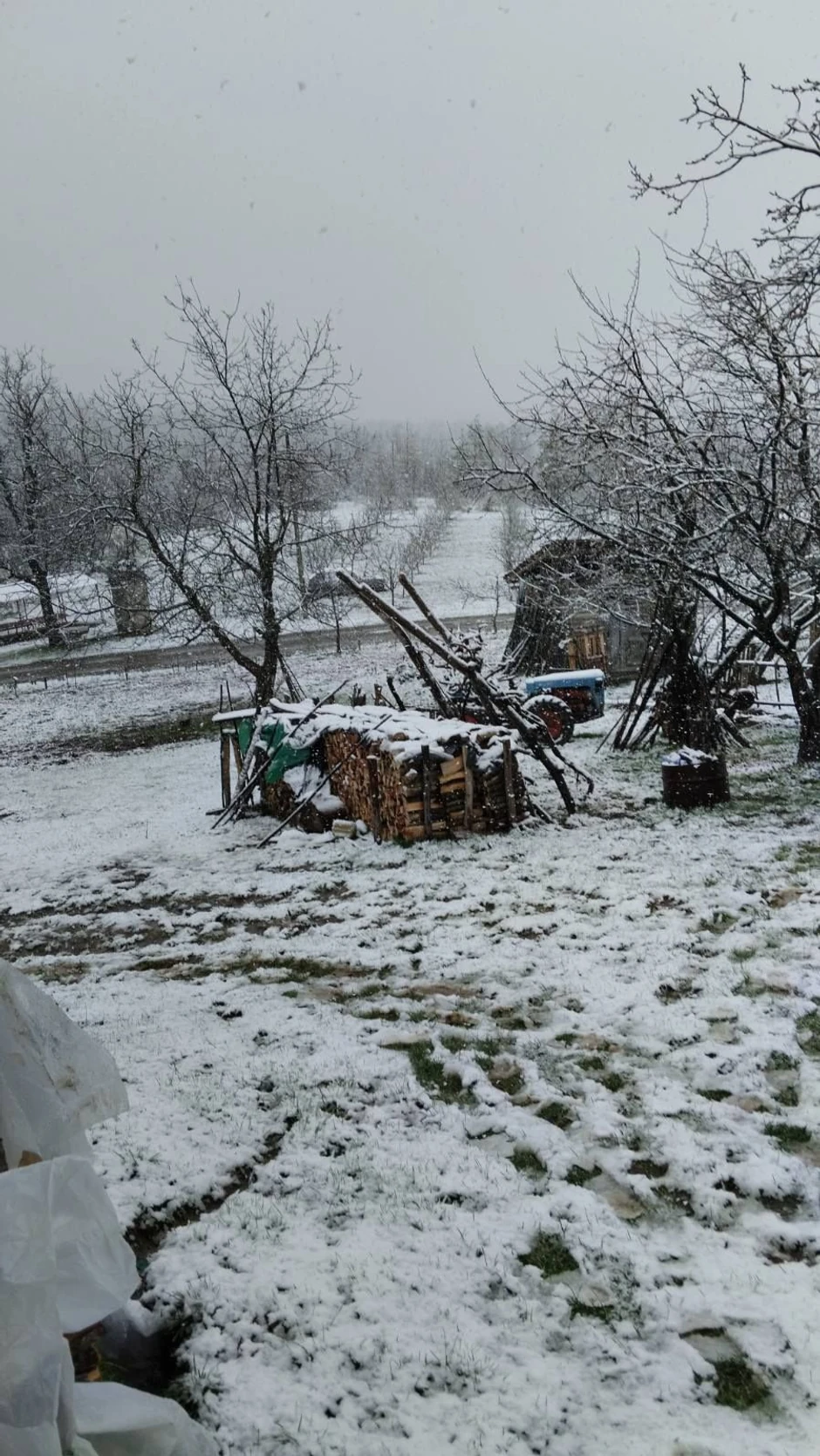 Selo Kosmača, Kuršumlija