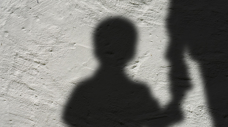 A fiatal férfi akár három év börtönbüntetést is kaphat / Illusztráció: pixabay.com