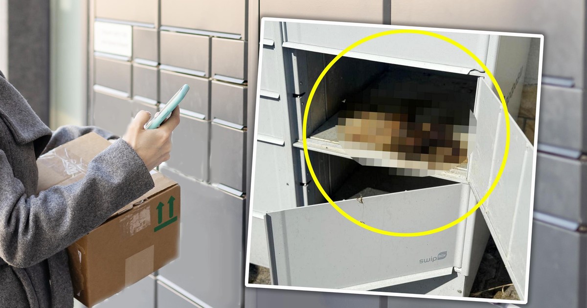 Martwy kot znaleziony w paczkomacie. Policja bada dwie wersje