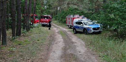 Niebezpieczne wyprawy do lasu. Policja ostrzega grzybiarzy