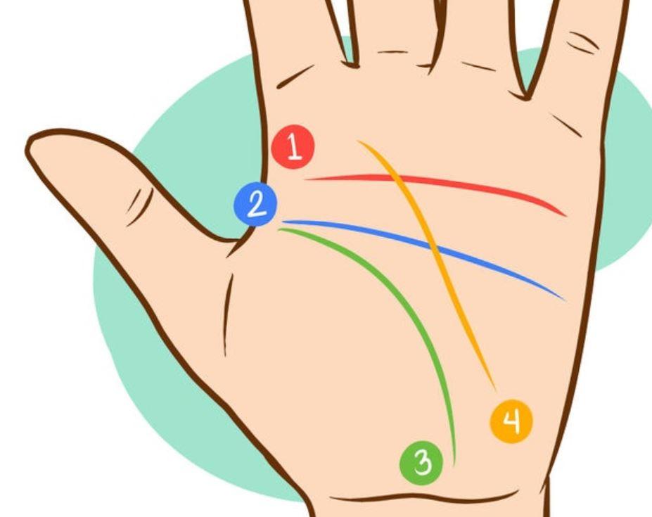 Significado líneas de la mano