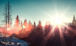 IMGW: Będzie pogodnie, ale chłodno. PROGNOZA NA PONIEDZIAŁEK