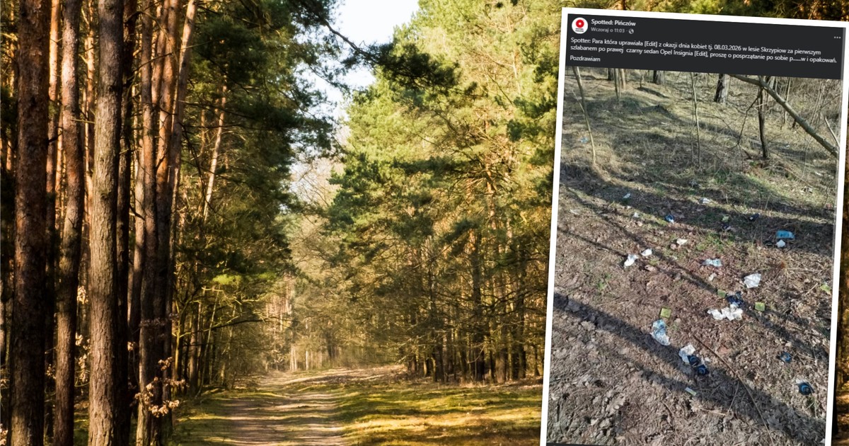 Zużyte prezerwatywy w lesie - mieszkańcy oburzeni
