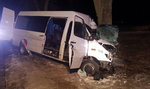 Autobus uderzył w drzewo. Nie żyje kierowca, dwie osoby są ranne