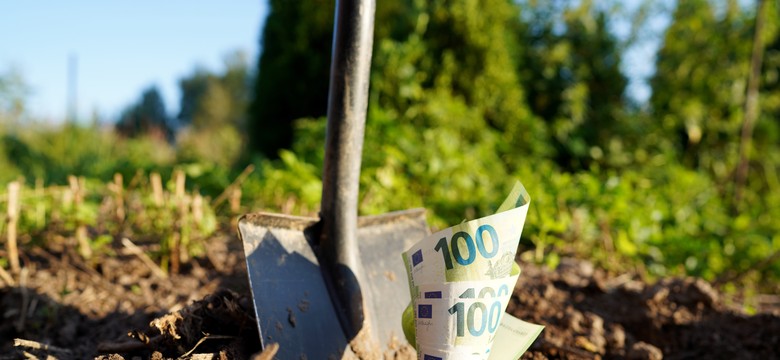 Dofinansowanie do ogrodu: Jak uzyskać nawet 20 tys. zł na ogród w 2025 roku?