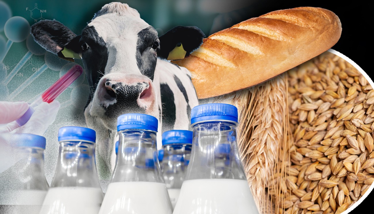 Poskupeli mleko, jaja i žitarice! Evrostat: Cene poljoprivrednih proizvoda u EU porasle za 2,6 odsto u prvom kvartalu