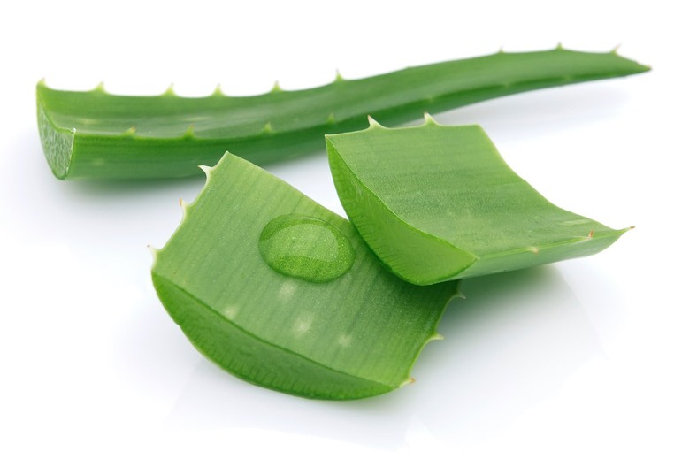 Aloe Vera effective in getting rid of flaky skin due to its moisturizing and anti-inflammatory properties [ece-auto-gen]
