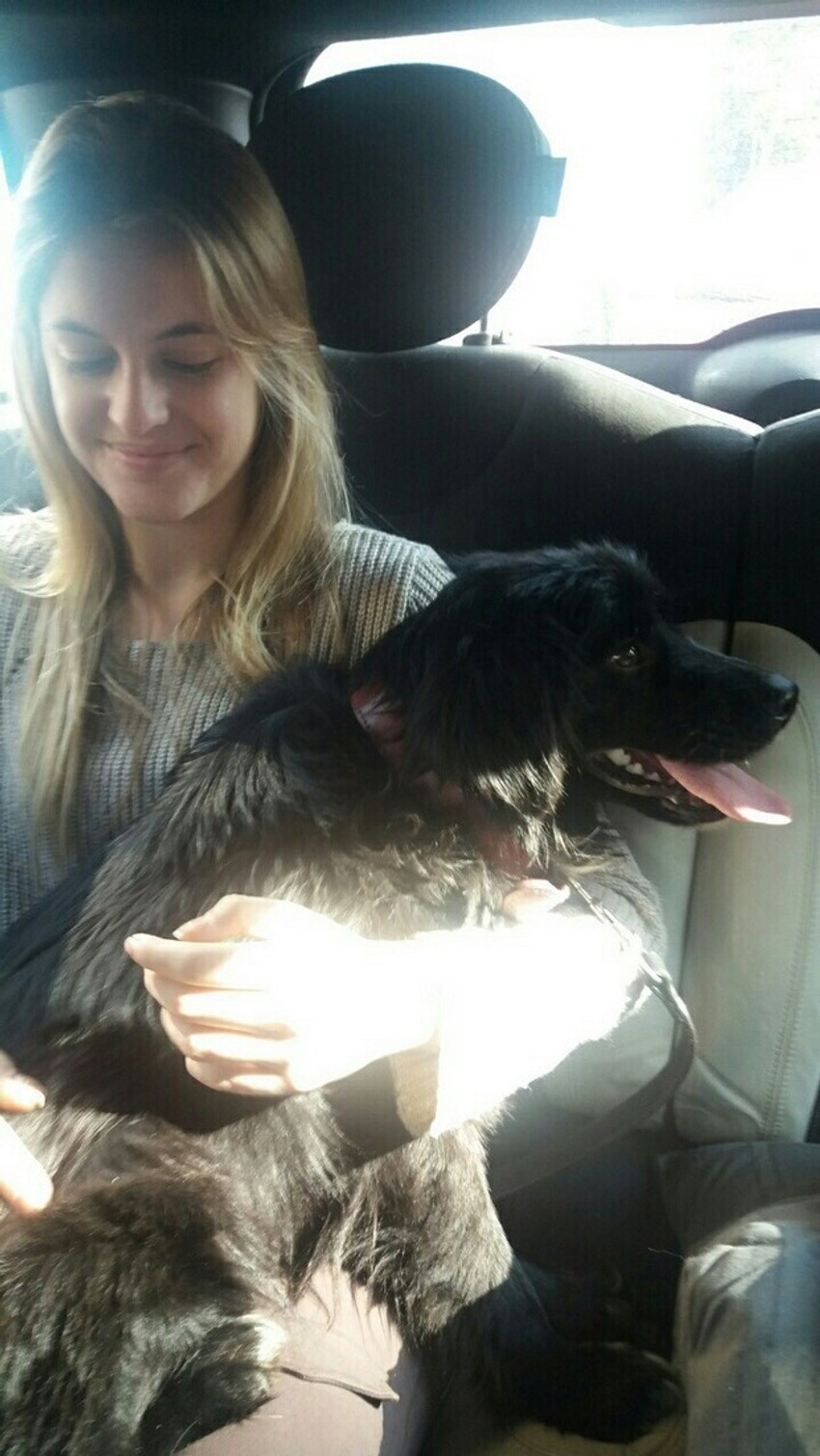 Skipi i Maša Bogdanović