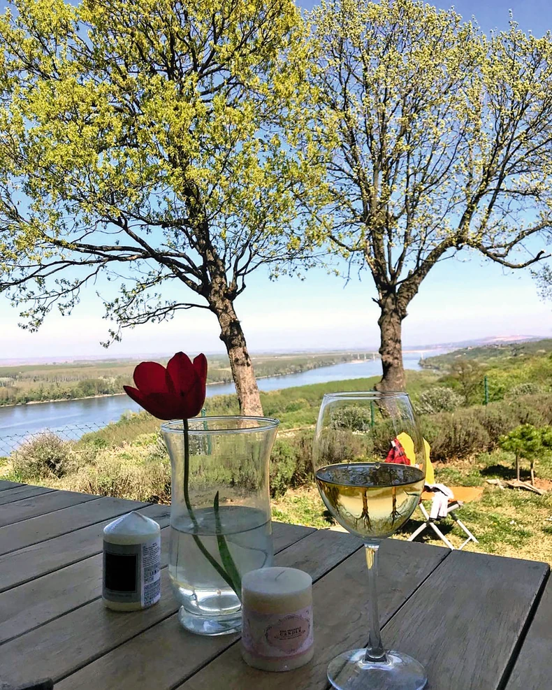 Sloboda Mićalović i Vojin Ćetković, dom