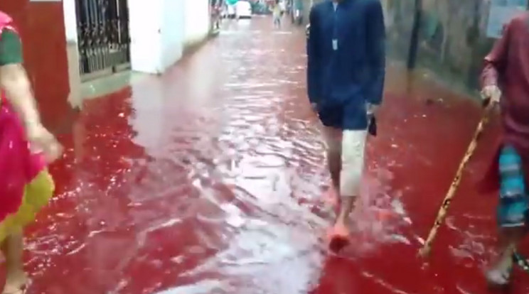 Vérben álltak az emberek az utcán / Fotó: YouTube
