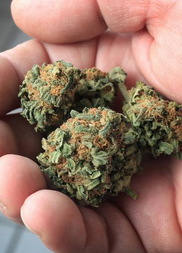 Erste Region In Australien Legalisiert Cannabis Noizz
