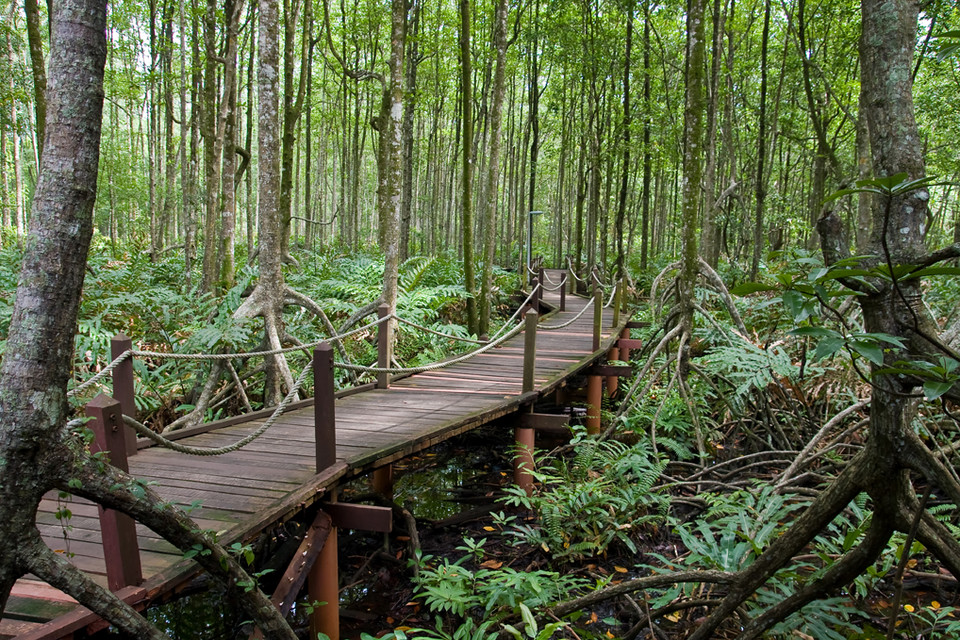 Funtasy Island - na wyspach niedaleko Singapuru powstaje olbrzymi eko-kurort 