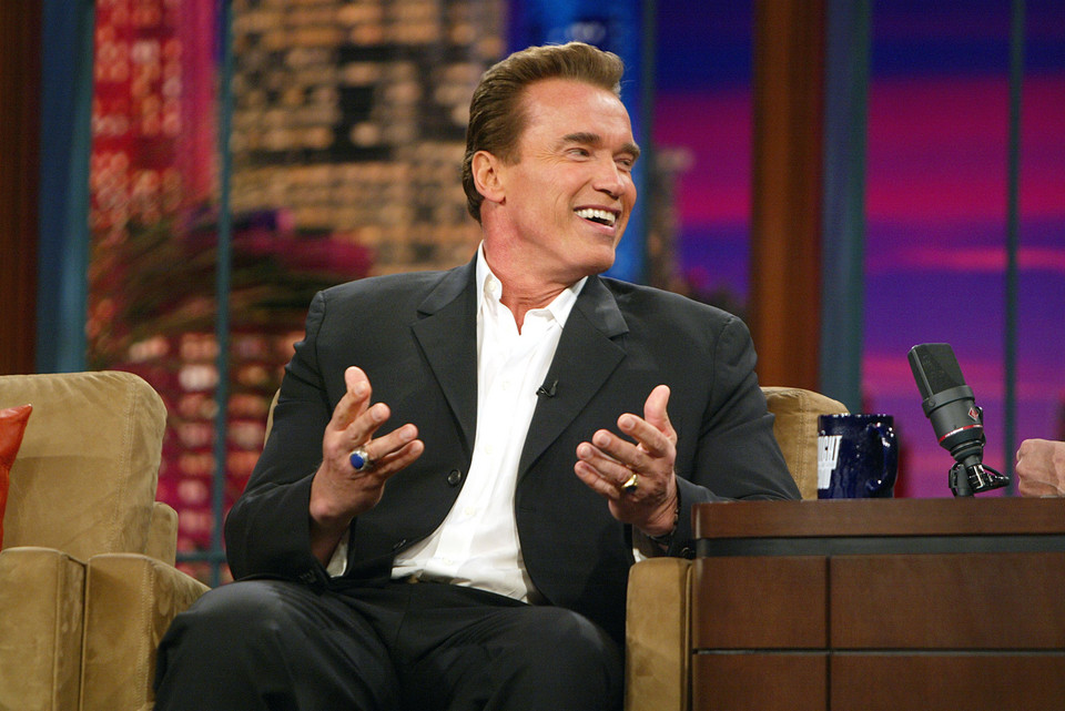 Arnold Schwarzenegger w 2004 roku