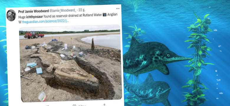 Szczątki "morskiego smoka" odkryte w Wielkiej Brytanii. Mają 180 mln lat [ZDJĘCIA]
