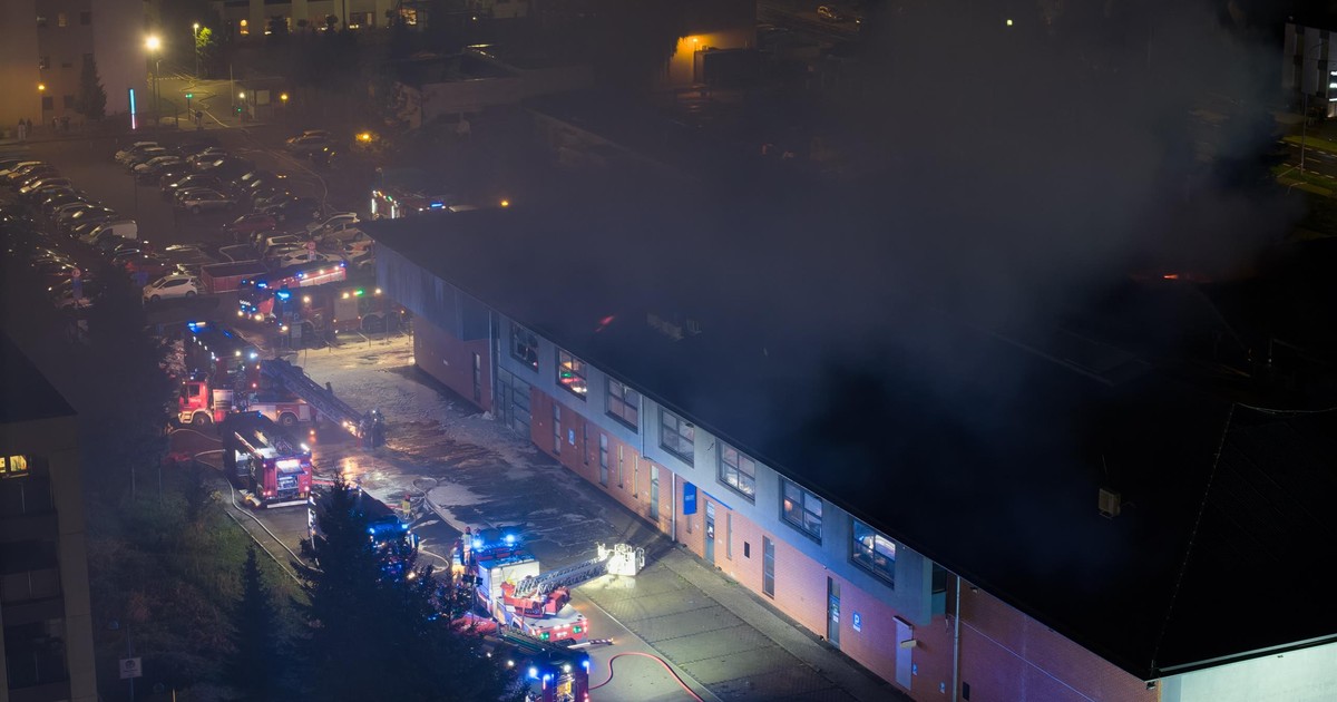 Potężny pożar w Poznaniu. To dlatego płonęła galeria handlowa. Ogień pojawił się w papugarnii