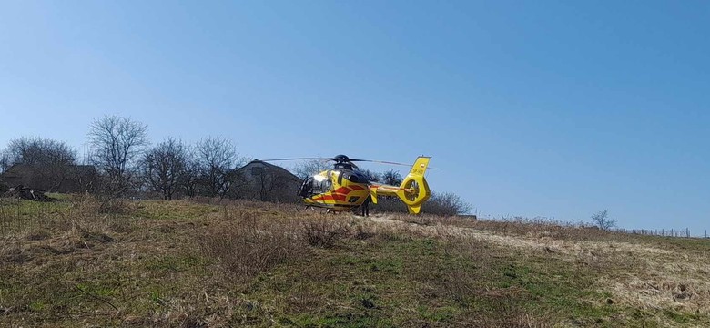 Chwile grozy na Lubelszczyźnie. Drzewo przygniotło 38-latka