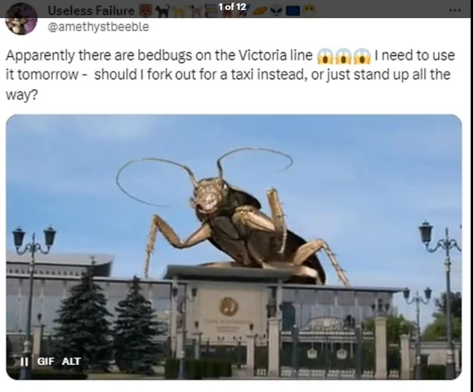 Šale na račun stenica