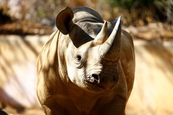 Polacy pobili niechlubny rekord. Szokujące wyniki dziennikarskiego śledztwa