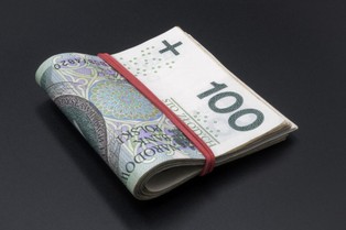 Dwie grupy: ZUS przedstawił wykaz rent, emerytur i innych świadczeń łączonych w rencie wdowiej