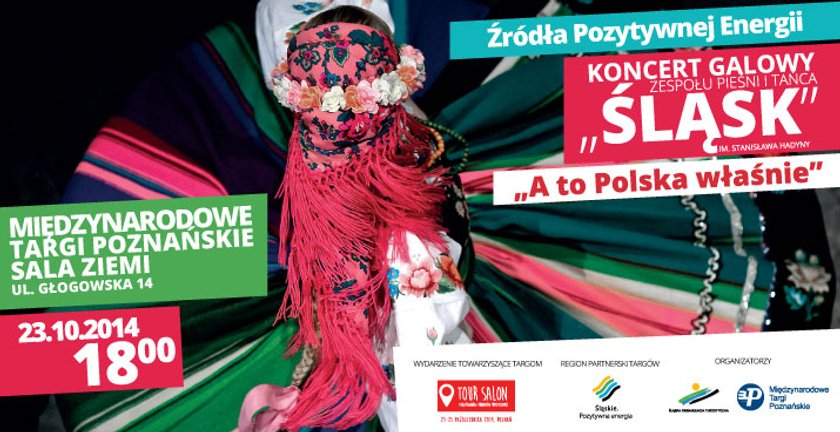 Zespół Śląsk na MTP