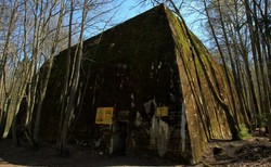 Najemca "Wilczega Szańca" przegrał z nadleśnictwem. Do zapłaty duża kara