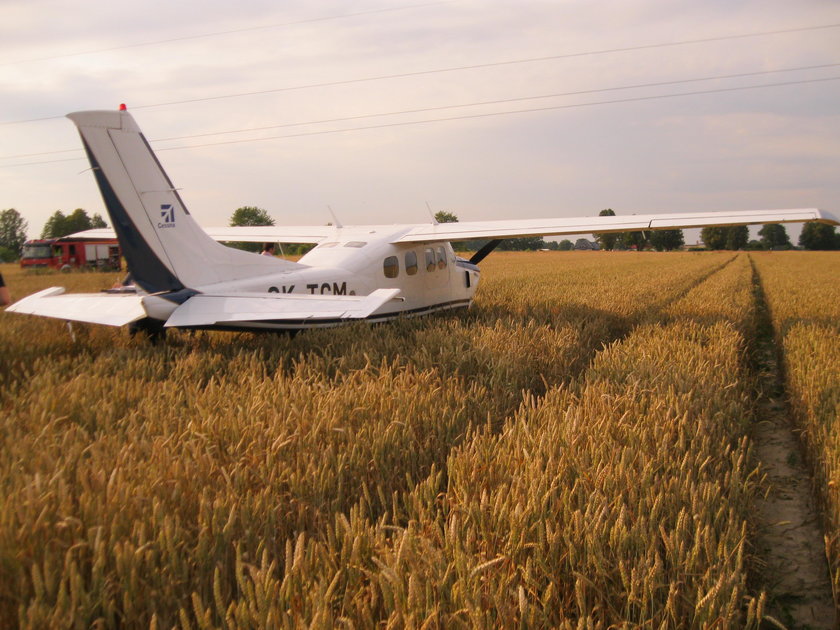 Awaryjne lądowanie samolotu cessna z Czech na polu pod Brzezinami