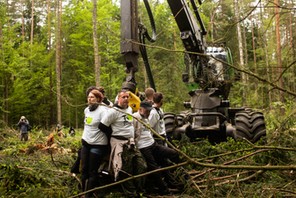 Puszcza Białowieska i protesty ekologów