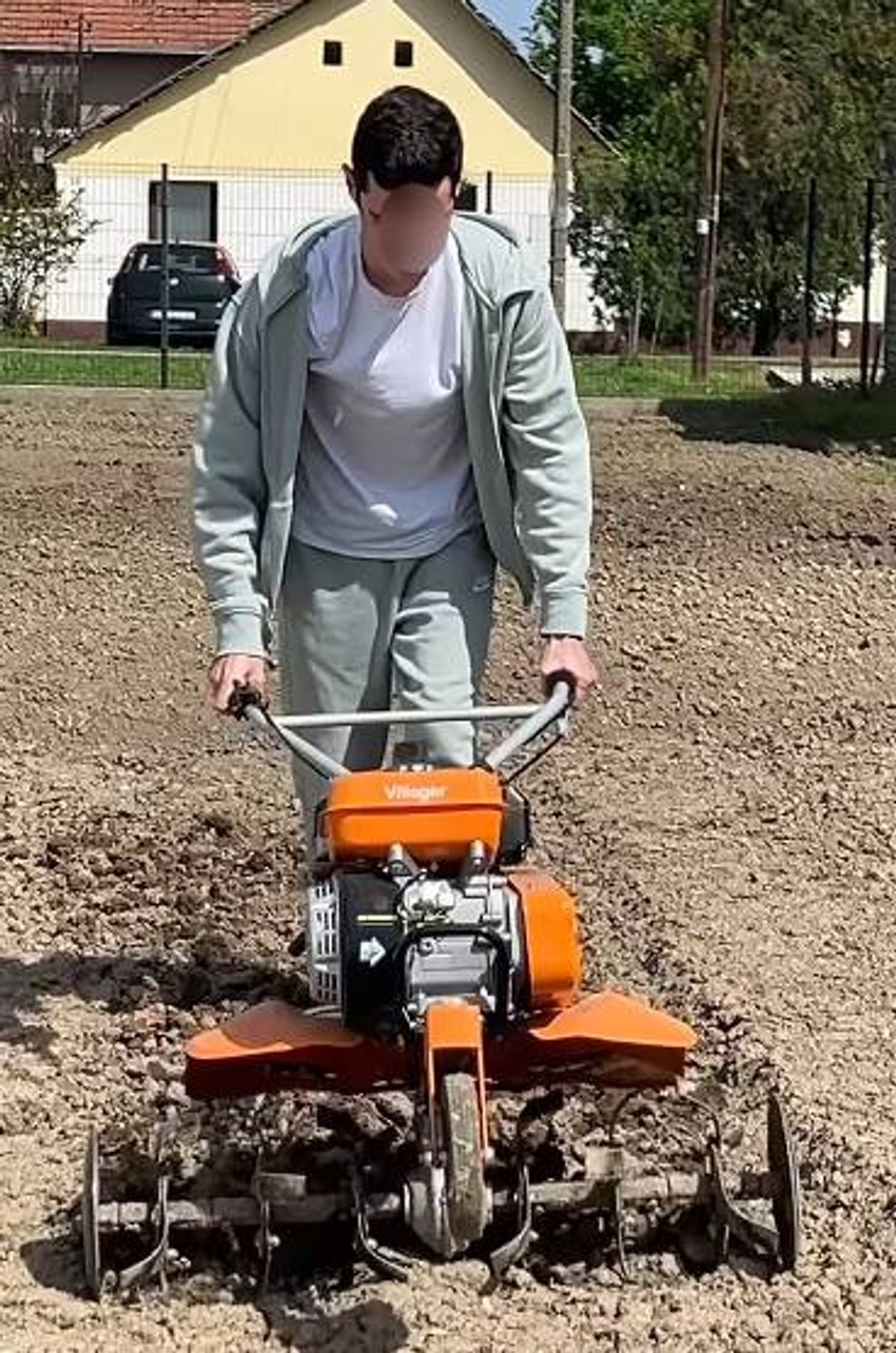 Branko Babić, objava