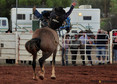 Wilmington Rodeo