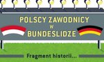 Polacy w Bundeslidze