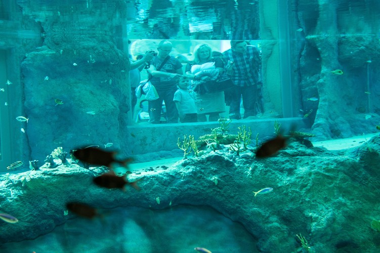 Wrocławskie Afrykarium