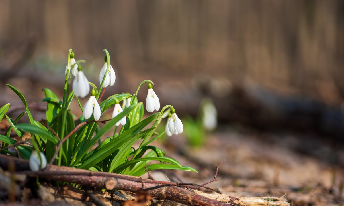 Zima jeszcze nie odpuszcza. Po krótkim ociepleniu czeka nas zmiana