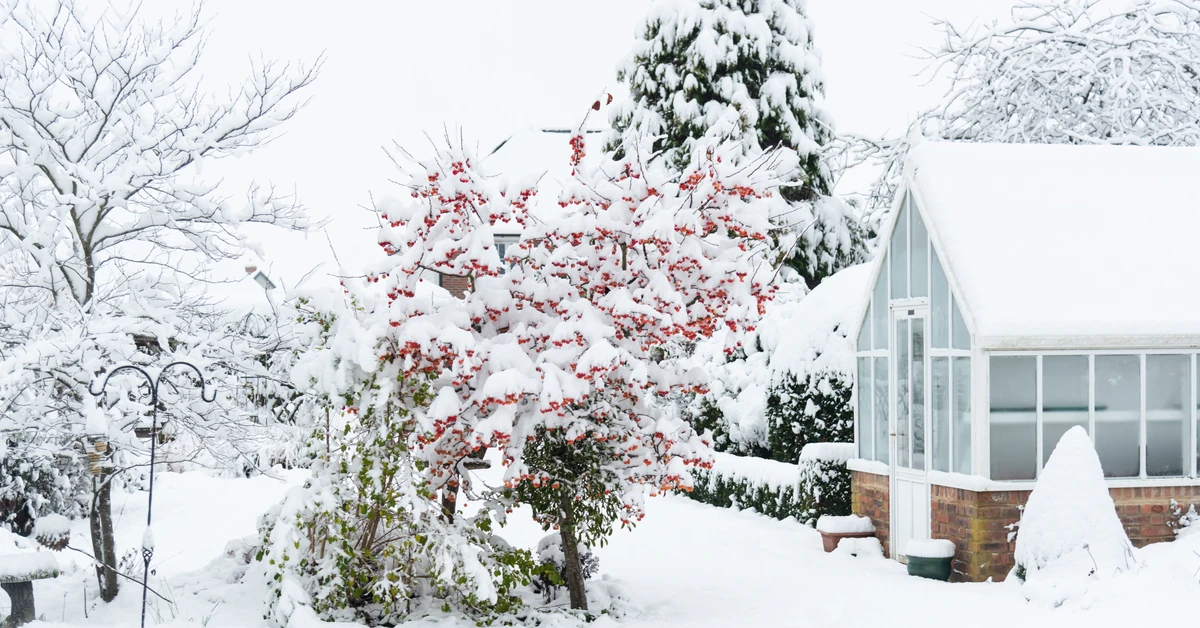 Ostatni dzwonek dla działek ROD? Związkowcy biją na alarm
