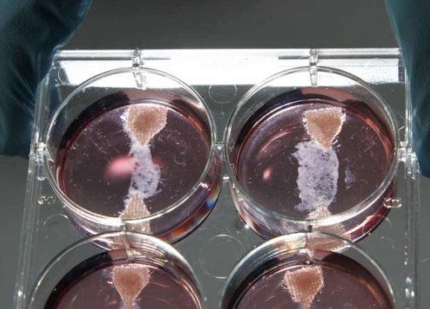 Ovako sve počinje...