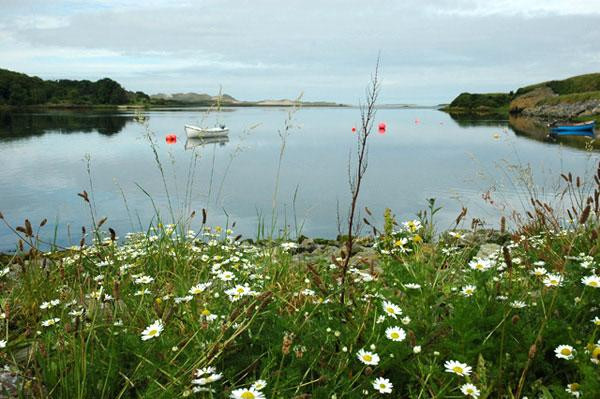 Galeria Irlandia oceanem malowana, obrazek 11