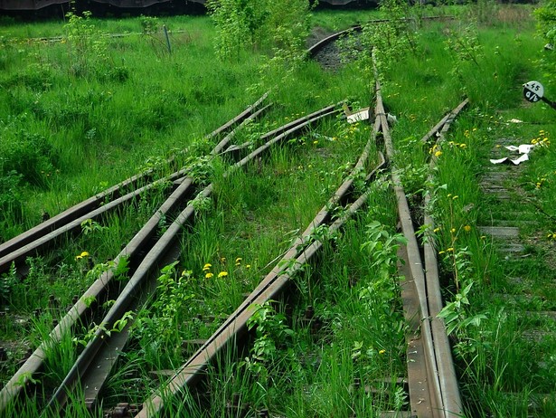 Pół tysiąca euro brutto dostanie każdy pracownik narodowych kolei belgijskich SNCB, dzięki któremu firma wzbogaci się o nowe ręce do pracy.