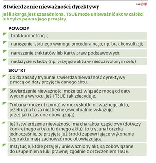 Stwierdzenie nieważności dyrektywy