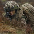 NATO szuka statystów na ćwiczenia wojskowe. Dobrze płaci