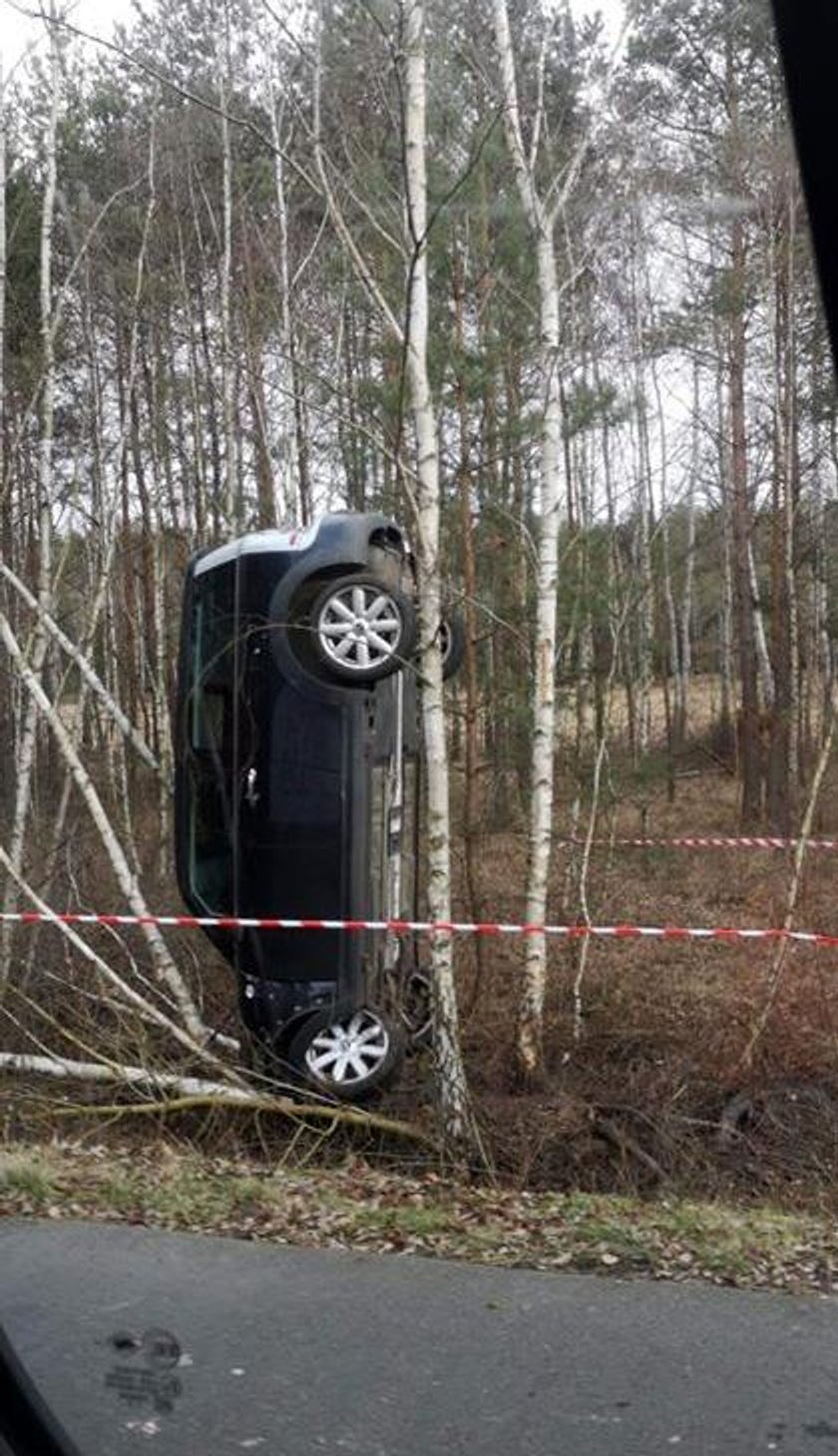 Auto "stanęło" na drzewie. Kierowcy szuka policja